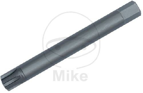 BIT RIBE M10 10MM 6KT LAENGE 75MM