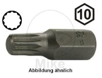 BIT VIELZAHN M12 10MM 6KT LAENGE 30MM