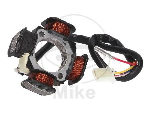 Lichtmaschine Anker Stator Generator 79 mm für Atala Benelli Derbi Italjet Rex Simson Suzuki