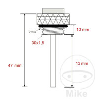 Indicatore diretto della temperatura dellolio per Kawasaki ZX-9R 900 ZX-12R 1200