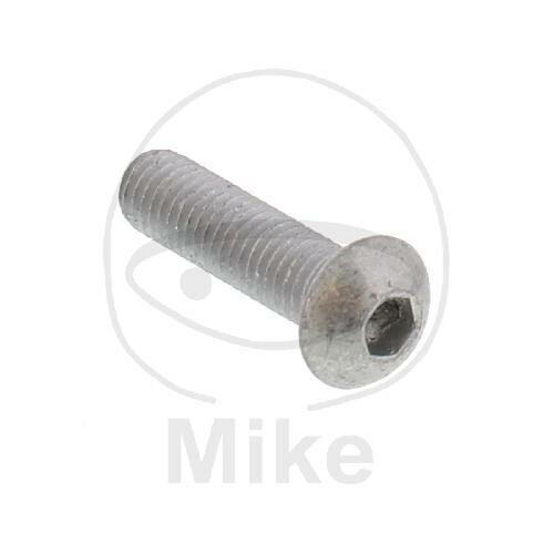 Tornillo M8x1,25x30 para Aprilia 50 125 200 250 500