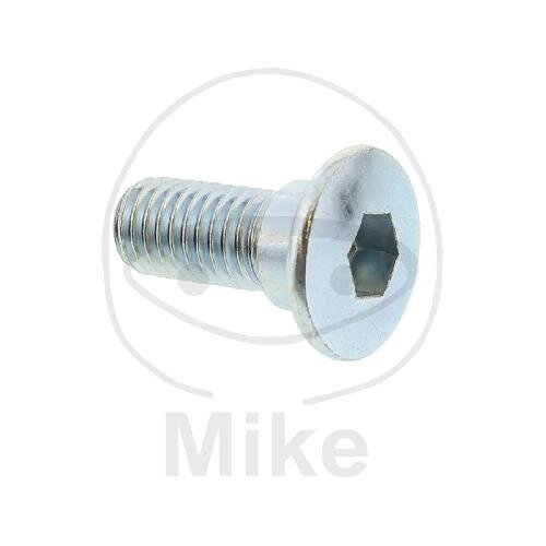 Tornillo M8x1,25x20 para Yamaha 115 125 200 250 350 400 450 550 600 660 700