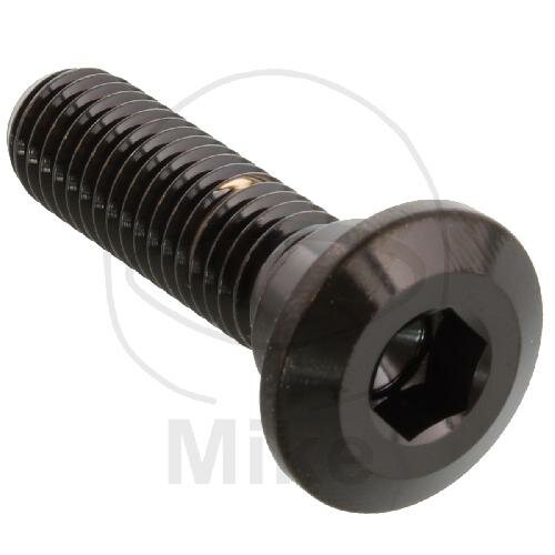 Schraube M8x1,25x30 für Kawasaki 50 80 125 250 300 305 400 440 450 500 550 600 636 650 700 750 800 900 1000 1100 1200 1400 1500 1600 1700 2000