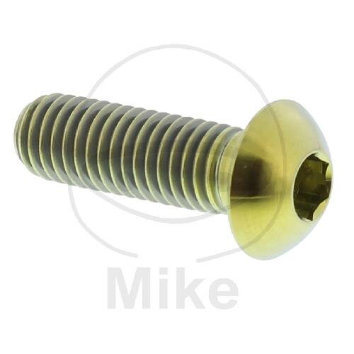 Tornillo M8x1,25x25 para BMW C1 125 200 F 800 K 100 1100 1200 K1 1000 R 850 1100 1150 1200