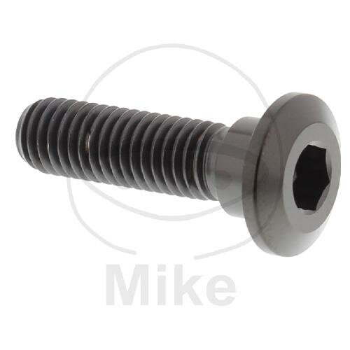 Vite M8x1,25x30 per Kawasaki 50 80 125 250 300 305 400 440 450 500 550 600 636 650 700 750 800 900 1000 1100 1200 1400 1500 1600 1700 2000