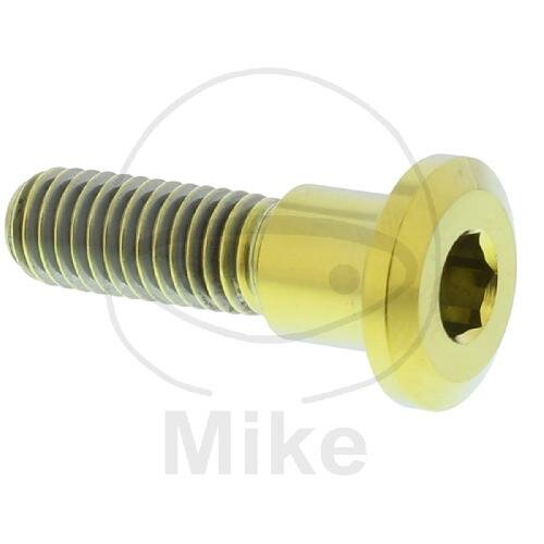 Schraube M8x1,25x30 für Triumph 600 650 660 675 750 765 800 865 900 955 1050 1200 1215 1600 1700 2300