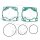 Cylinder gasket set for Husqvarna TC TE 250 300 # 2017