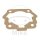 Cylinder base gasket for Cagiva Mito Derby Finix GPR Senda Gilera GSM RCR SMT