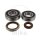 Crankshaft bearing set for Gas Gas EC 250 300 MC 250