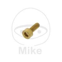 SCHR ZYL M3X0.5MM 8MM AL GO