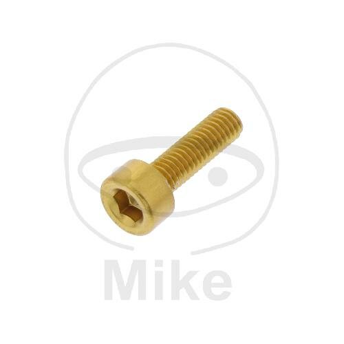 SCHR ZYL M3X0.5MM 10MM AL GO