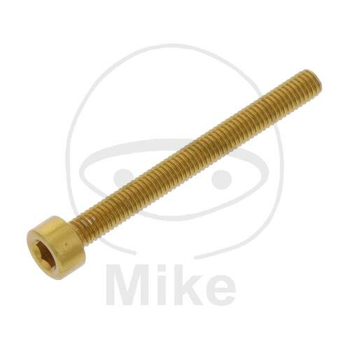 SCHR ZYL M3X0.5MM 30MM AL GO