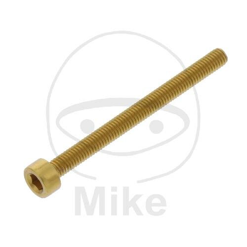 SCHR ZYL M3X0.5MM 35MM AL GO