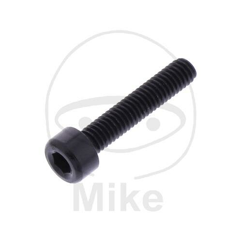 SCHR ZYL M4X0.7MM 20MM AL SW