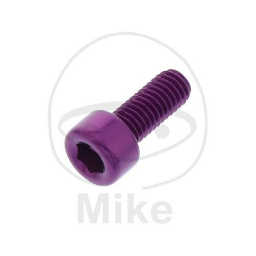 SCHR ZYL M5X0.8MM 12MM AL VT