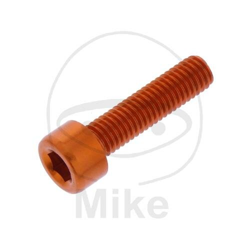 SCHR ZYL M5X0.8MM 20MM AL OR