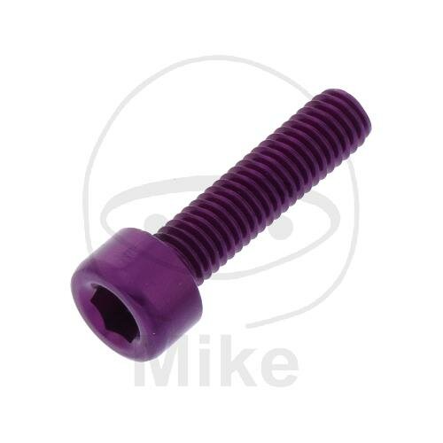 SCHR ZYL M5X0.8MM 20MM AL VT