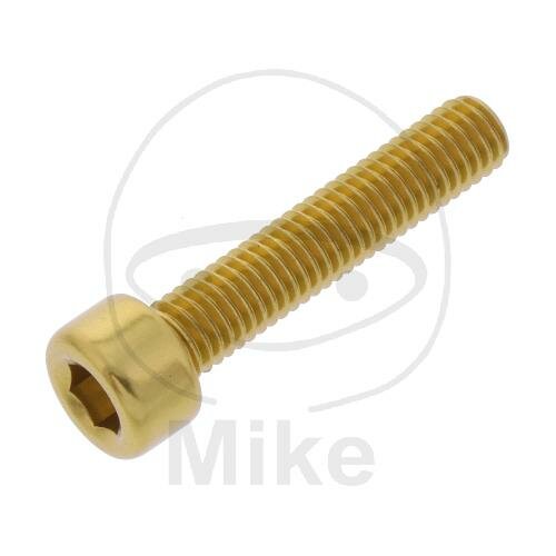 SCHR ZYL M5X0.8MM 25MM AL GO