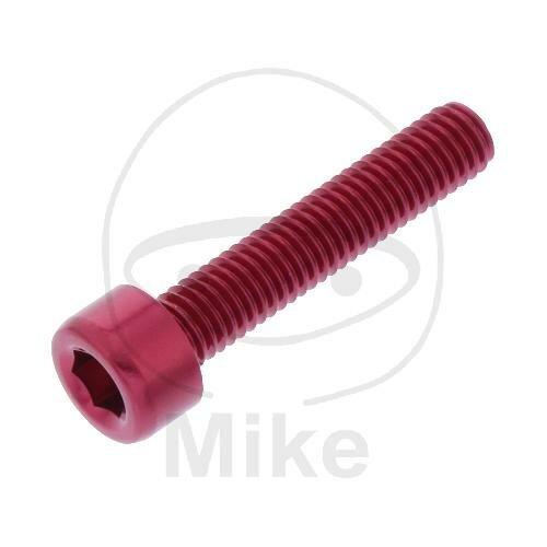 SCHR ZYL M5X0.8MM 25MM AL RT