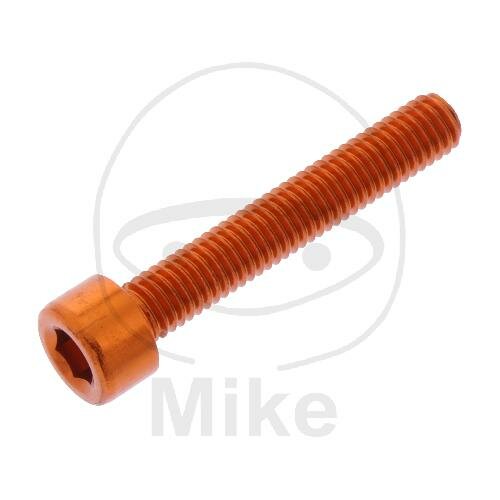 SCHR ZYL M5X0.8MM 30MM AL OR