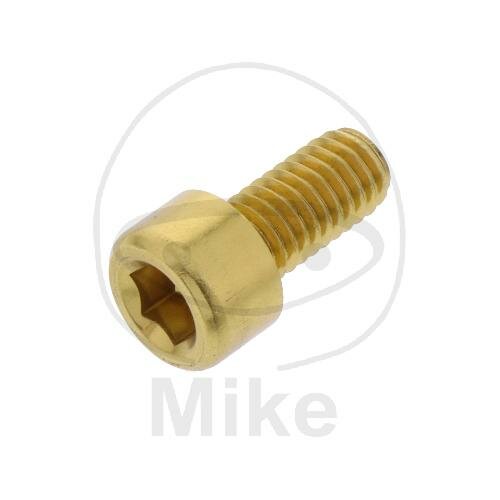 SCHR ZYL M6X1.00MM 12MM AL GO