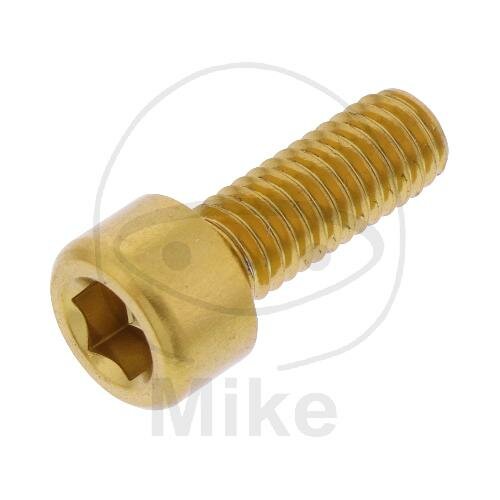 SCHR ZYL M6X1.00MM 16MM AL GO