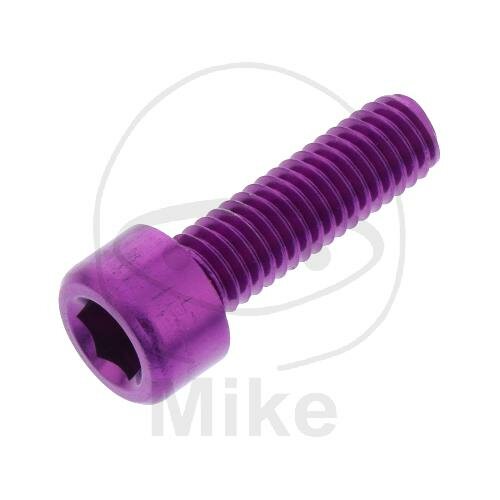 SCHR ZYL M6X1.00MM 20MM AL VT