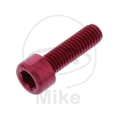 SCHR ZYL M6X1.00MM 20MM AL RT