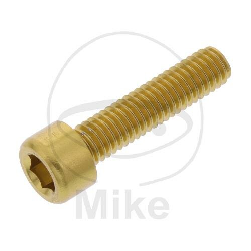 SCHR ZYL M6X1.00MM 25MM AL GO