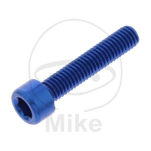 SCHR ZYL M6X1.00MM 30MM AL BL