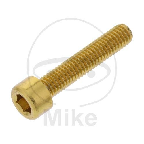 SCHR ZYL M6X1.00MM 30MM AL GO