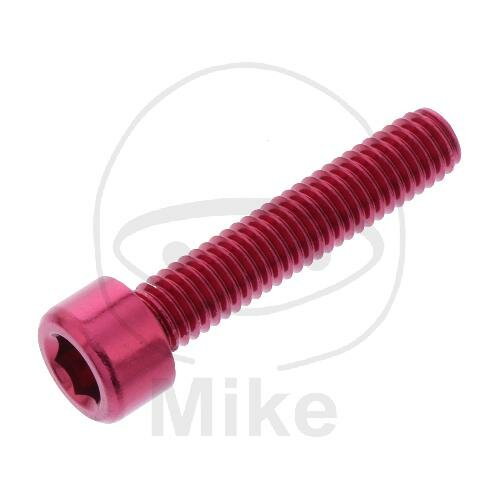 SCHR ZYL M6X1.00MM 30MM AL RT