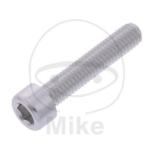 SCHR ZYL M6X1.00MM 30MM AL SI