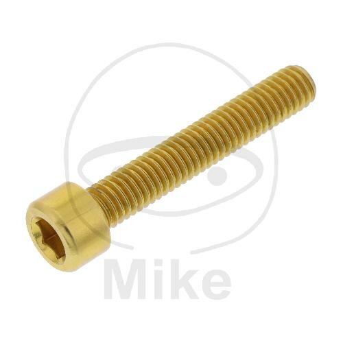 SCHR ZYL M6X1.00MM 35MM AL GO