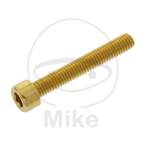 SCHR ZYL M6X1.00MM 40MM AL GO