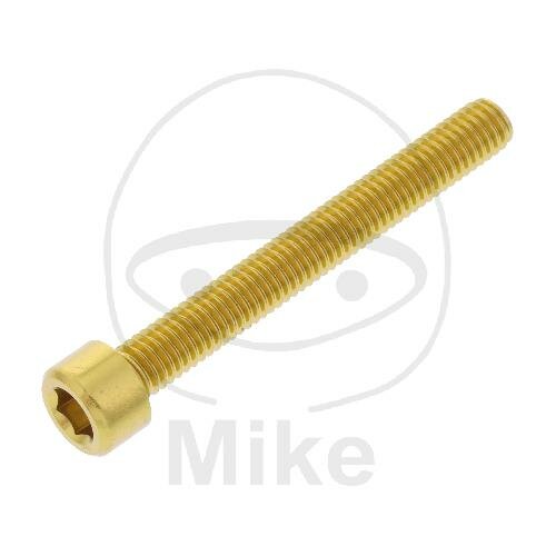 SCHR ZYL M6X1.00MM 50MM AL GO