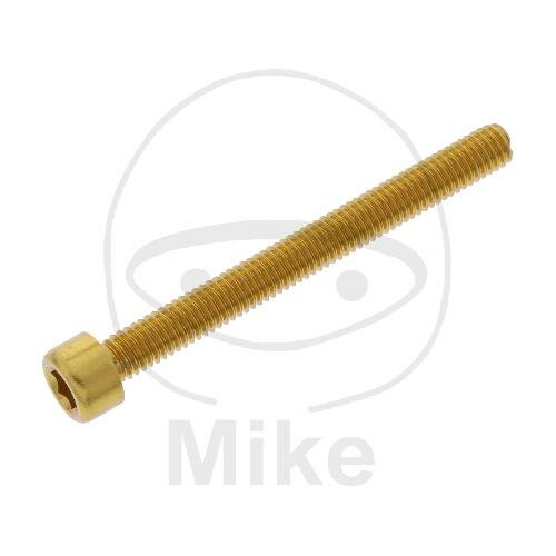 SCHR ZYL M6X1.00MM 60MM AL GO