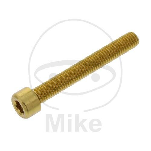 SCHR ZYL M8X1.25MM 60MM AL GO