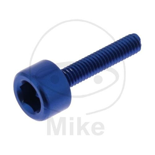 SCHR ZYL M4X0.7MM 20MM AL BL