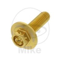 SCHR 6KT M6X1.00MM 20MM AL RAC GO