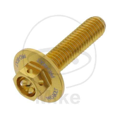 SCHR 6KT M6X1.00MM 25MM AL RAC GO