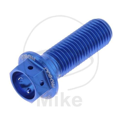 SCHR 6KT M10X1.25MM 30MM AL RAC BL