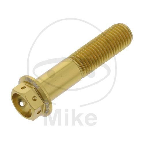 SCHR 6KT M10X1.25MM 45MM AL RAC GO