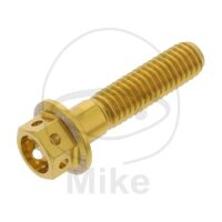 SCHR 6KT M6X1.00MM 25MM AL RAC GO