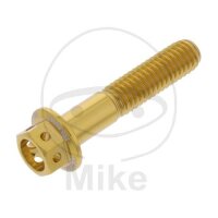 SCHR 6KT M6X1.00MM 30MM AL RAC GO