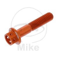 SCHR 6KT M6X1.00MM 30MM AL RAC OR