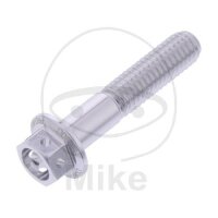 SCHR 6KT M6X1.00MM 30MM AL RAC SI