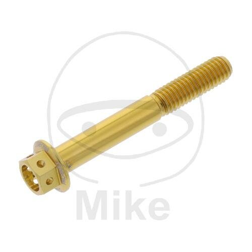 SCHR 6KT M6X1.00MM 45MM AL RAC GO