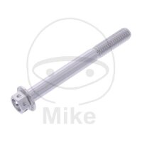 SCHR 6KT M6X1.00MM 55MM AL RAC SI