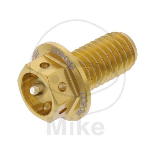 SCHR 6KT M8X1.25MM 15MM AL RAC GO